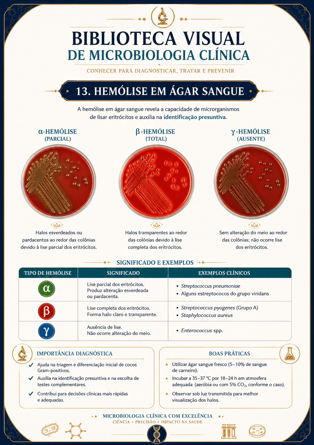 Hemólise em ágar sangue