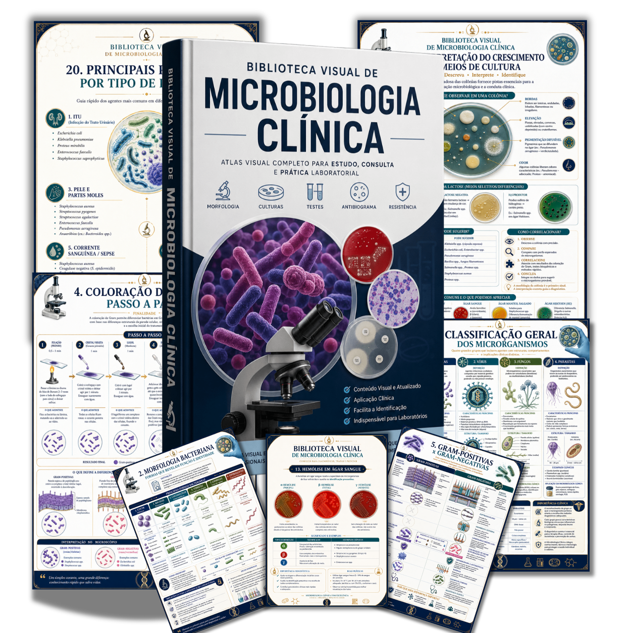 Mockup da Biblioteca Visual de Microbiologia Clínica