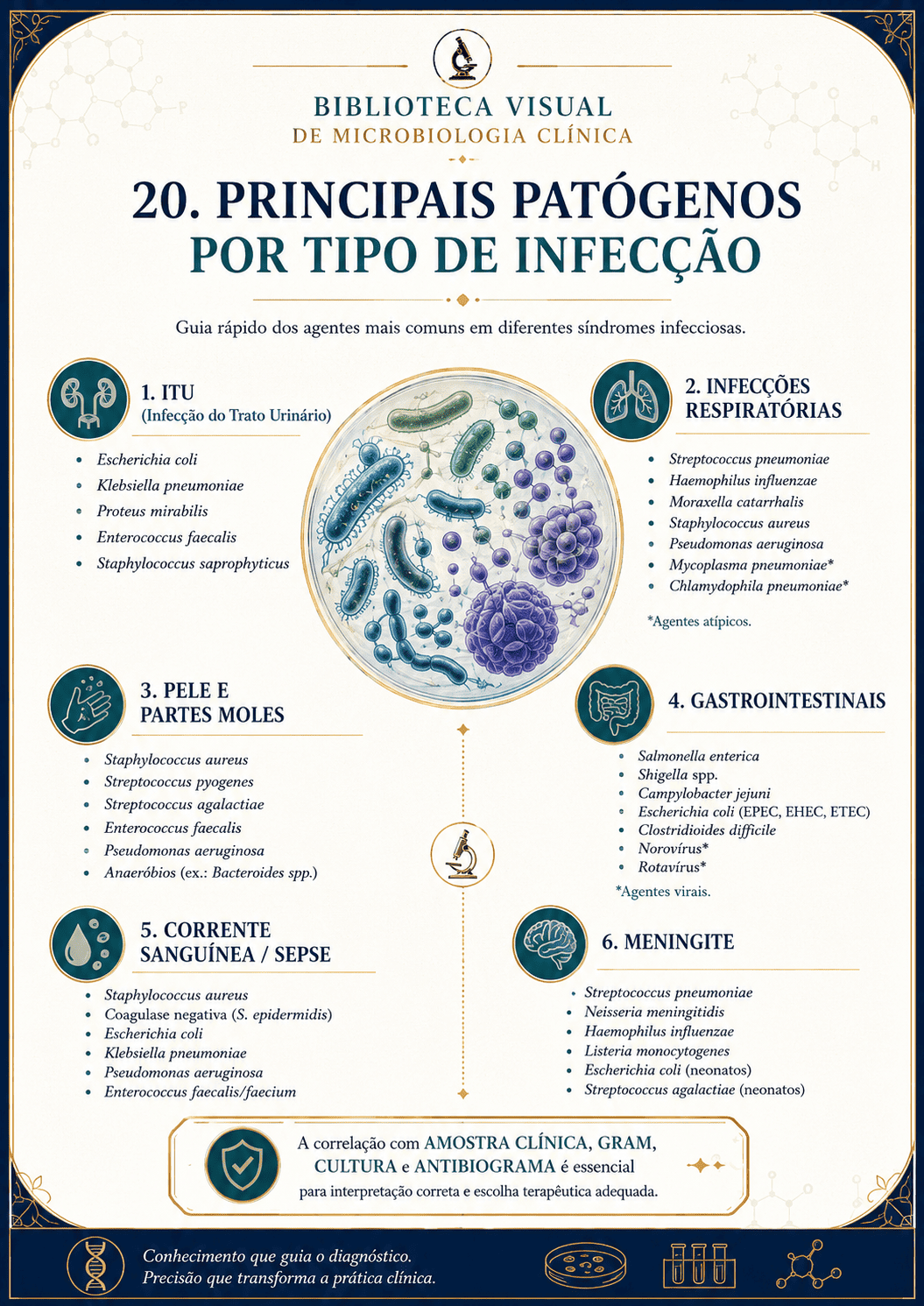 Principais patógenos por tipo de infecção