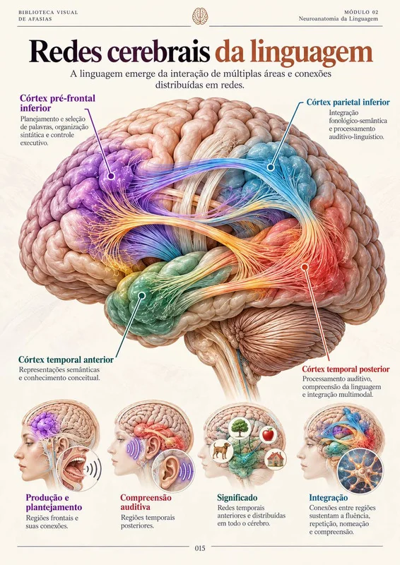 Redes cerebrais da linguagem